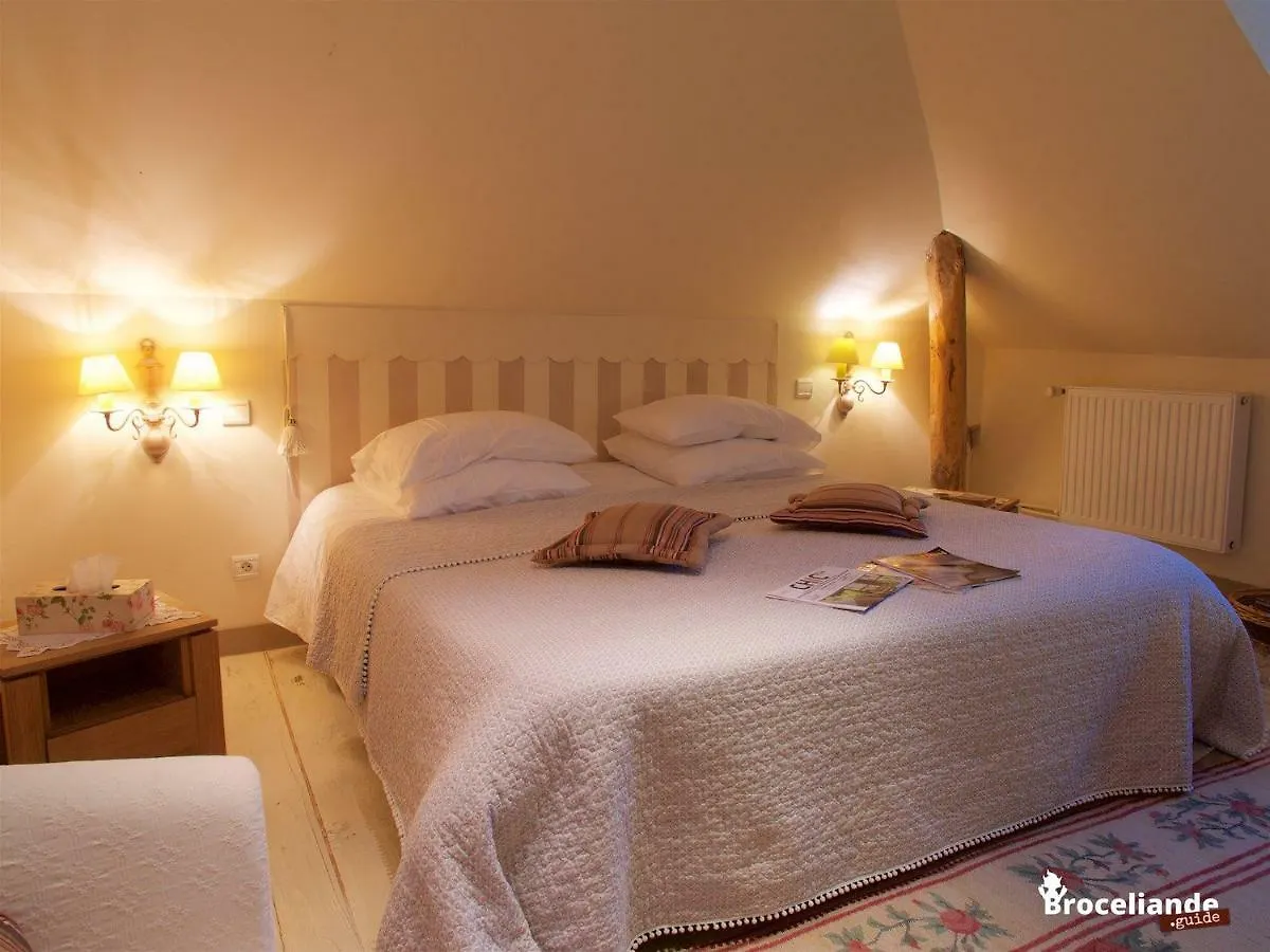 Bed & Breakfast Chateau Du Pin - Teritoria Iffendic